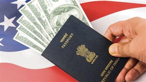 green card calculator|Green Card Wait Time .